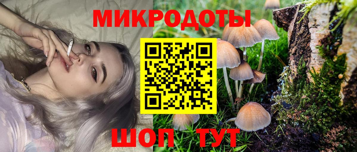 Псилоцибиновые грибы мухоморы  Вход с VPN  Псилоцибиновые грибы GOLDEN TEACHER  Заволжье 